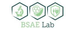 BSAE Lab Logo