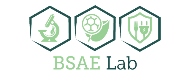 LBSAE Laboratory Logo