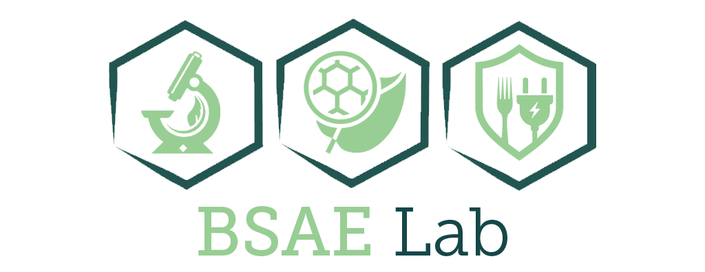 LBSAE Laboratory Logo